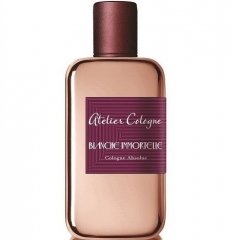 Blanche Immortelle