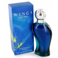 Wings For Men