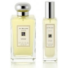 Tuberose