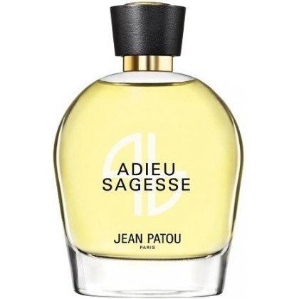 Adieu Sagesse