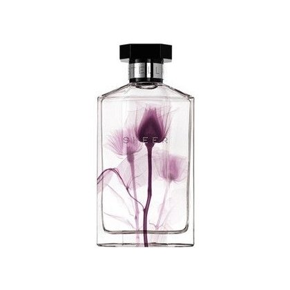 Sheer Stella 2011
