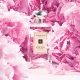 Peony & Blush Suede 2