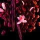 BLACK OPIUM 2