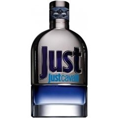 Just Cavalli For Him (2013)